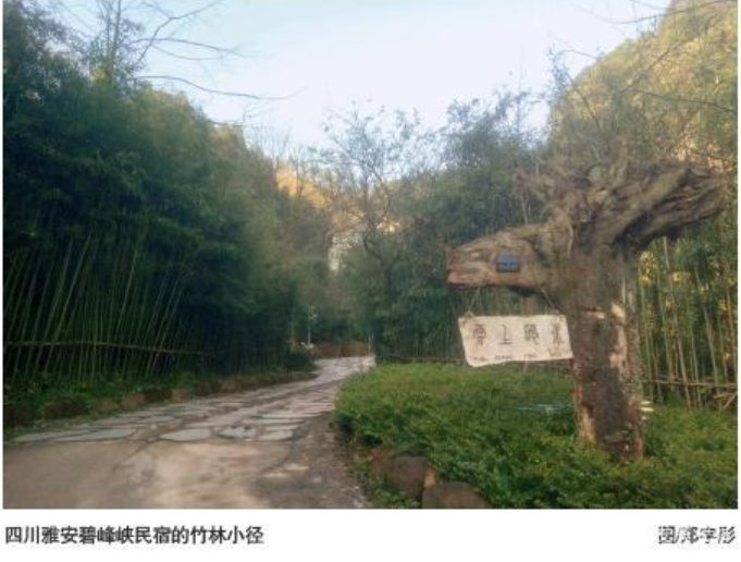 k1������(�й�)�ٷ���վ-ʮ��Ʒ��